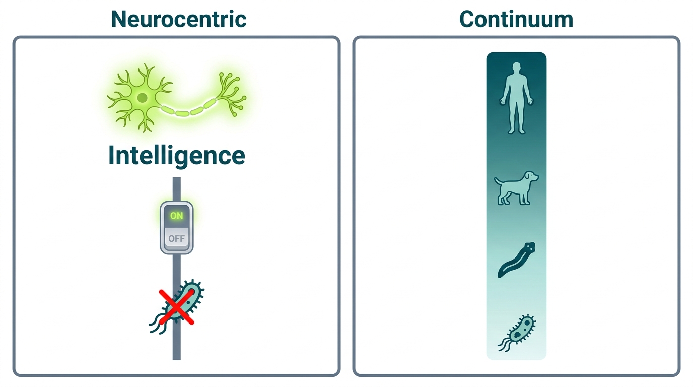 Neurocentric view versus continuum view of intelligence