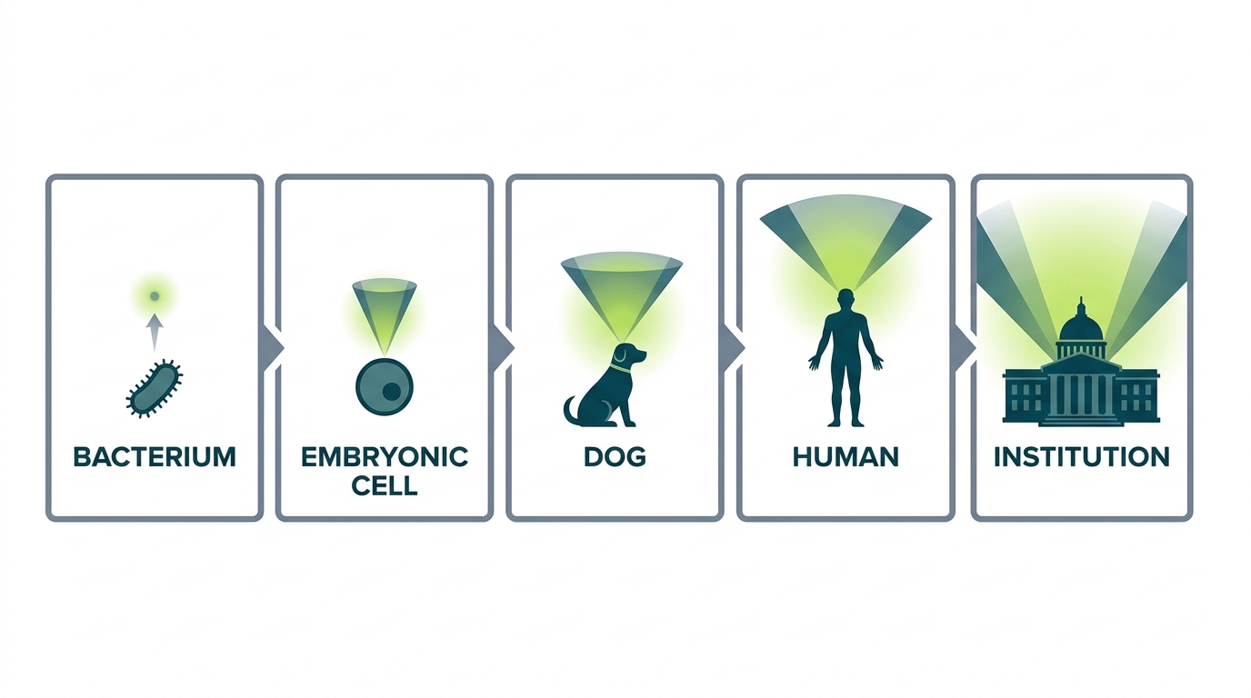Five cognitive light cones shown side by side, growing progressively larger from bacterium to institution, labeled with approximate spatial and temporal reach at each level.